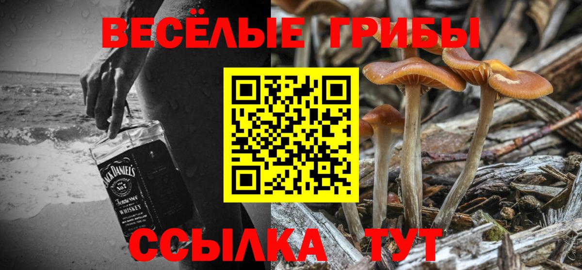 Псилоцибиновые грибы Psilocybe Ногинск