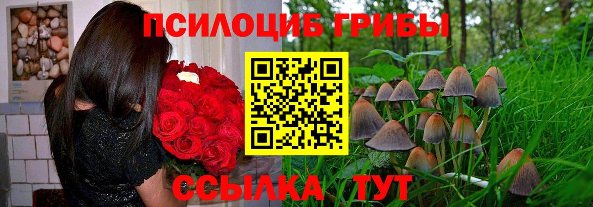 Галлюциногенные грибы ЛСД  Вход с VPN  Псилоцибиновые грибы Cubensis  продажа наркотиков  Ногинск 